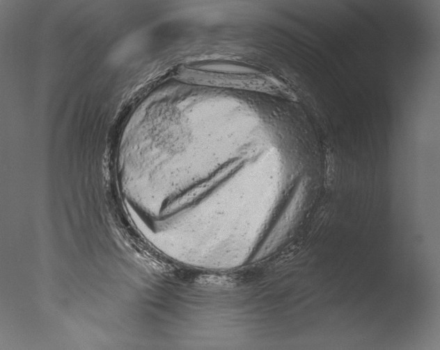 X0000076300354200610201552