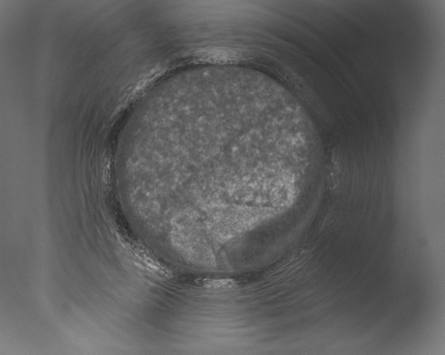 X0000076300355200610201552