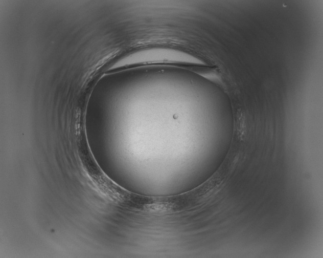 X0000076300356200610201552