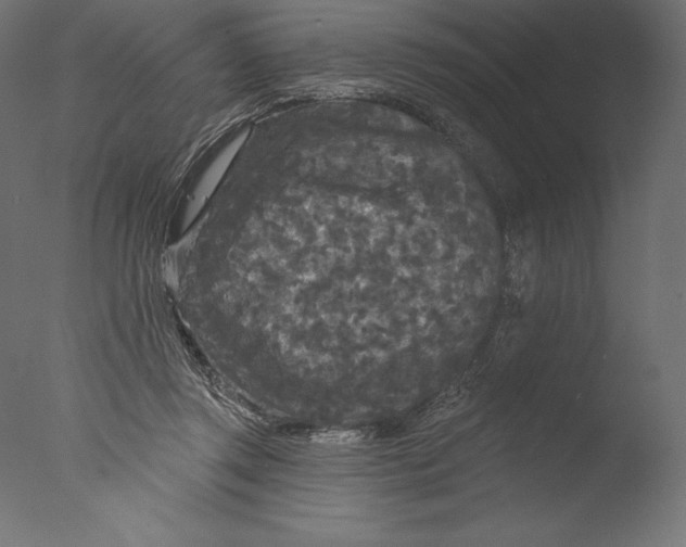 X0000076300357200610201552