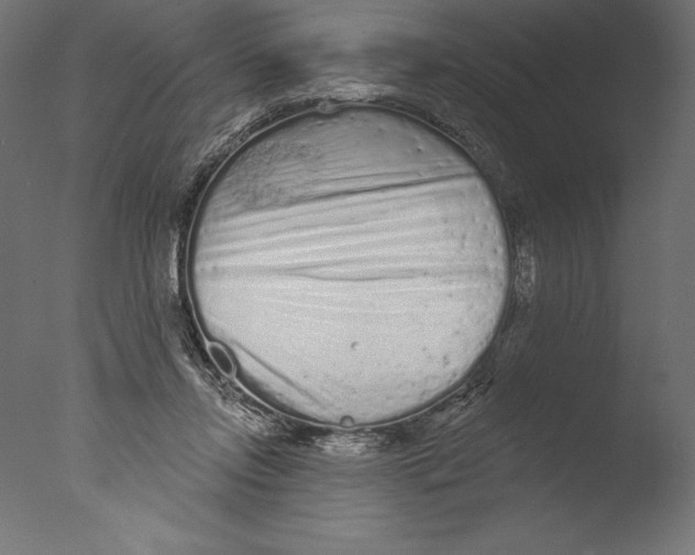 X0000076300358200610201552