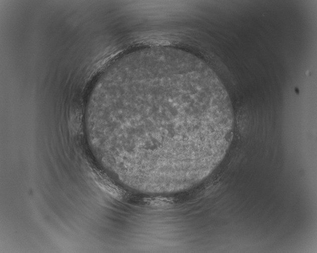 X0000076300359200610201552