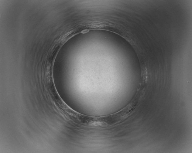 X0000076300360200610201552