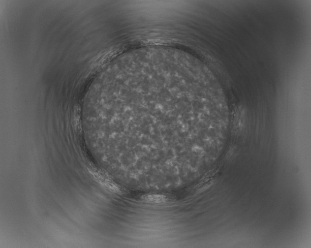 X0000076300361200610201552