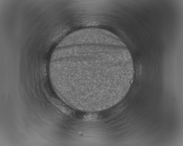 X0000076300362200610201552