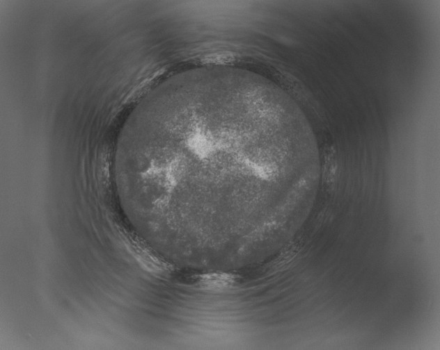 X0000076300363200610201552