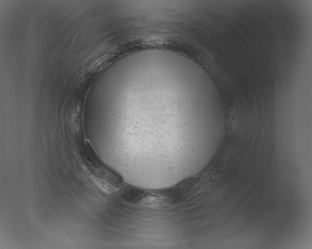 X0000076300364200610201552