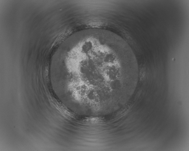 X0000076300365200610201552