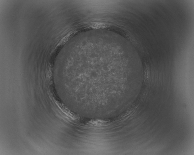 X0000076300367200610201553