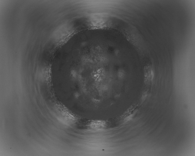 X0000076300369200610201553