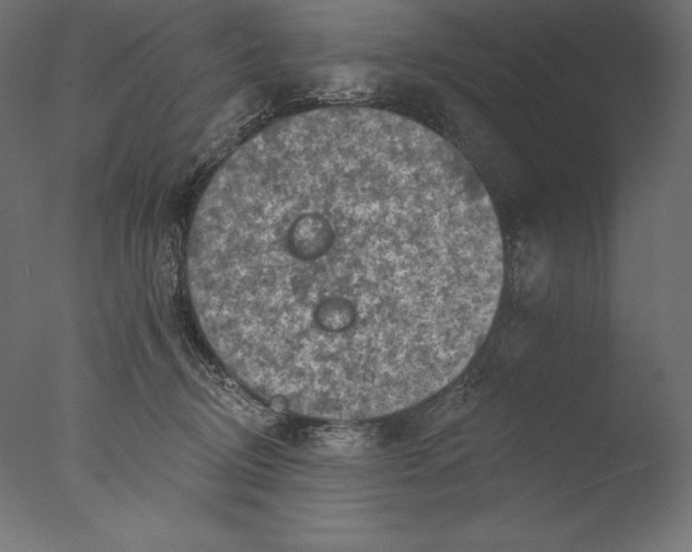 X0000076300370200610201553