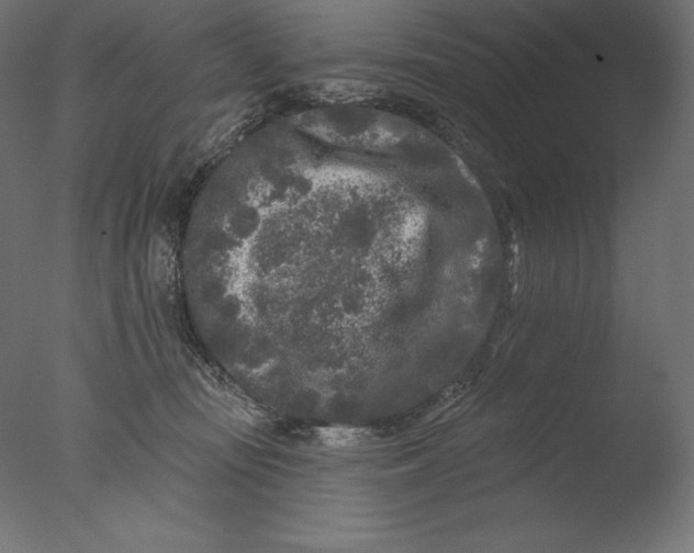 X0000076300371200610201553