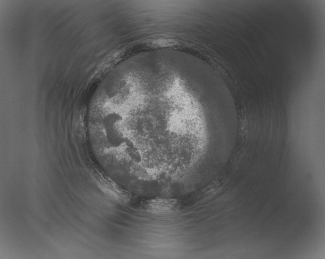 X0000076300373200610201553