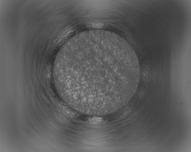 X0000076300374200610201553