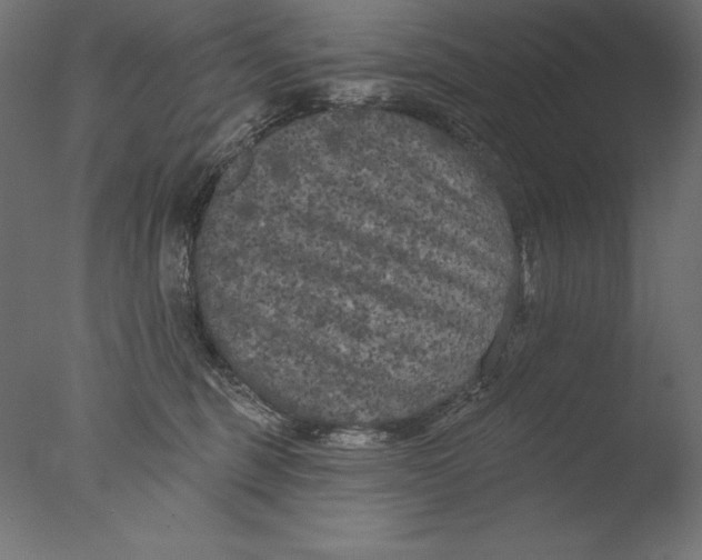 X0000076300375200610201553