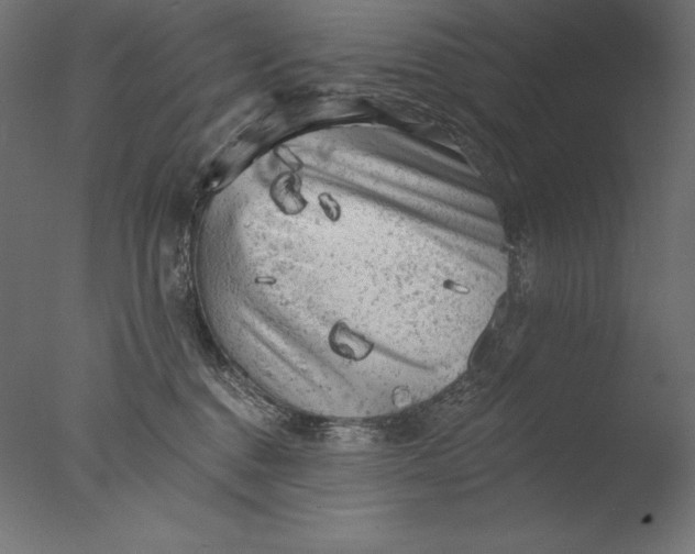 X0000076300376200610201553