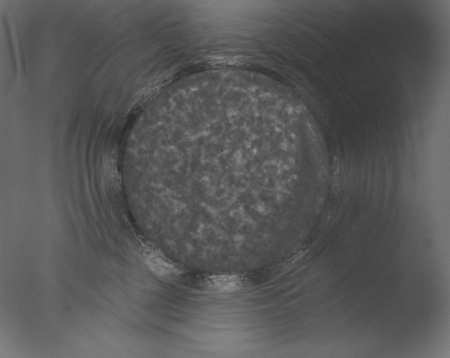 X0000076300377200610201553