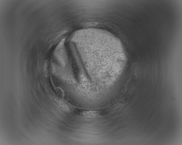 X0000076300378200610201553