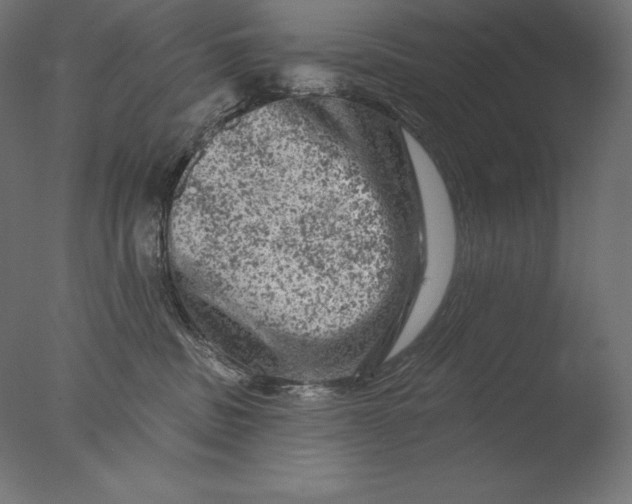 X0000076300379200610201553