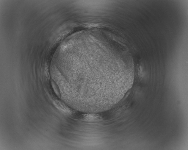 X0000076300380200610201553