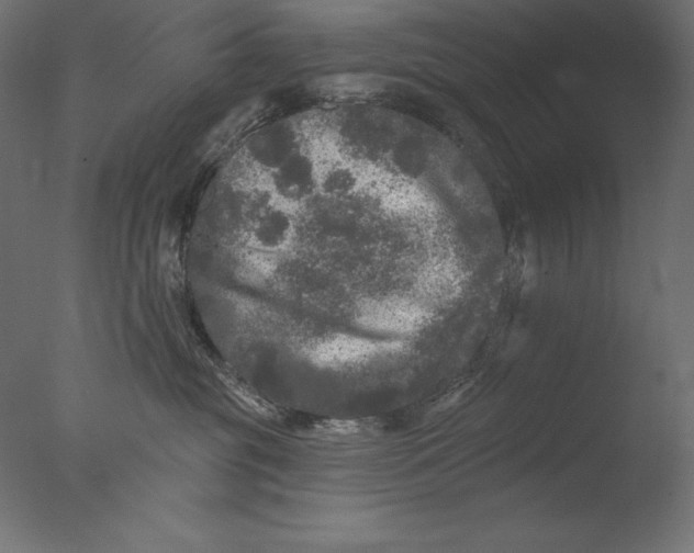 X0000076300381200610201553