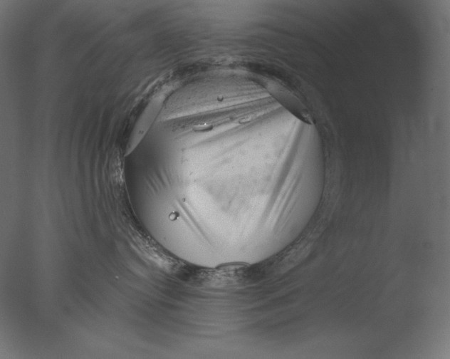 X0000076300384200610201553