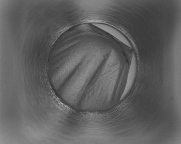 X0000076300385200610201552