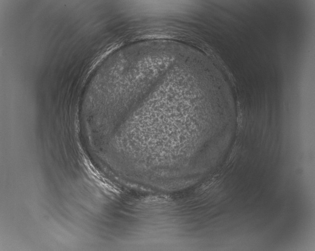 X0000076300386200610201552