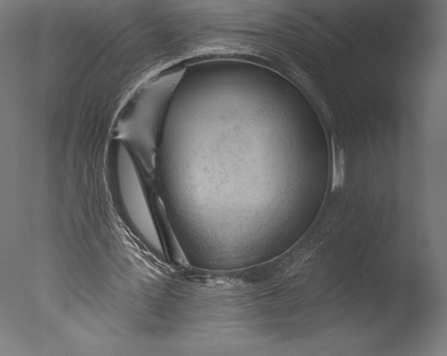 X0000076300387200610201552