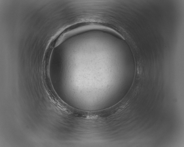 X0000076300388200610201552