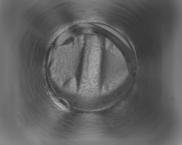 X0000076300389200610201552