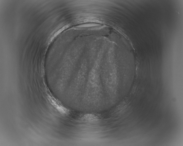 X0000076300390200610201552