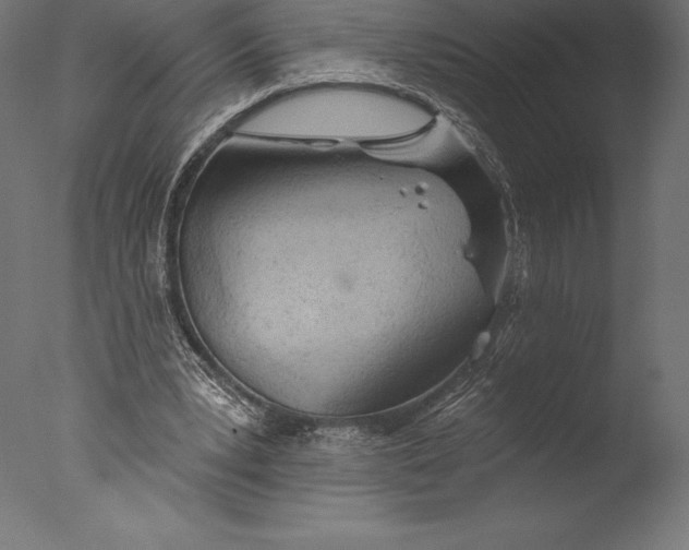 X0000076300391200610201552