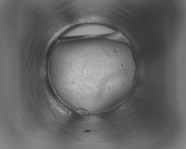 X0000076300392200610201552