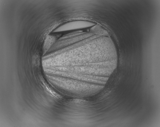 X0000076300393200610201552