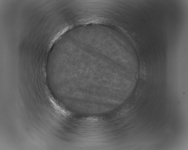 X0000076300394200610201552