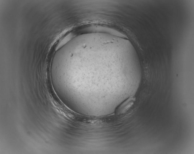 X0000076300395200610201552