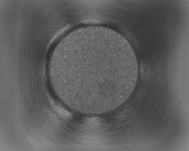 X0000076300396200610201552