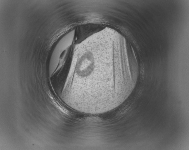 X0000076300397200610201552