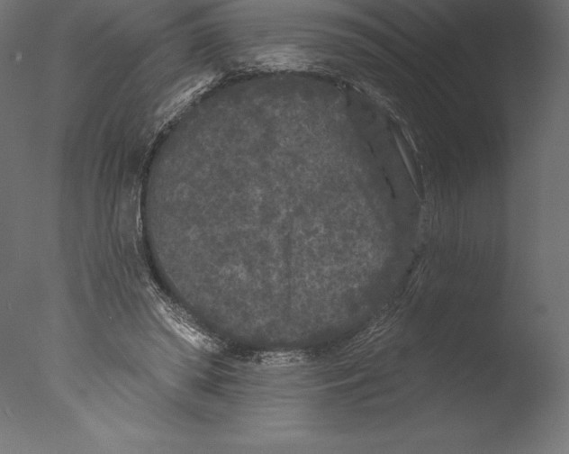 X0000076300398200610201552