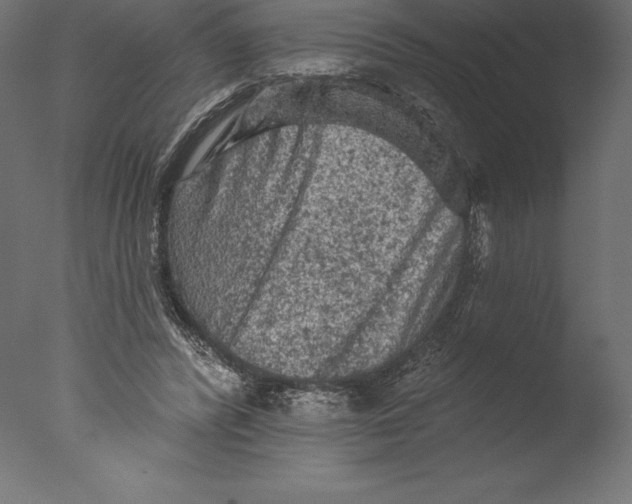 X0000076300400200610201552