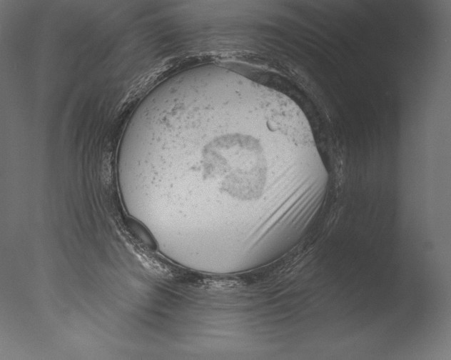 X0000076300401200610201552