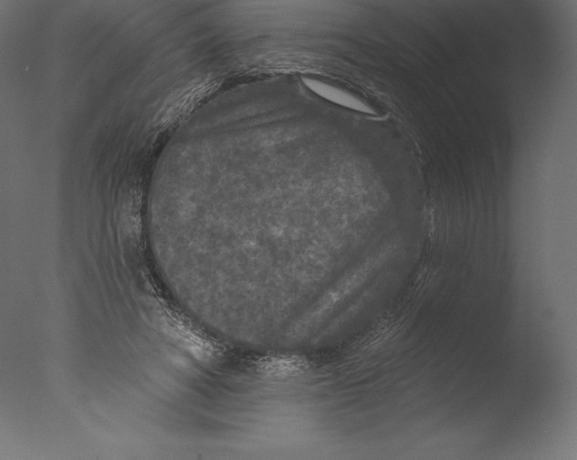 X0000076300402200610201552