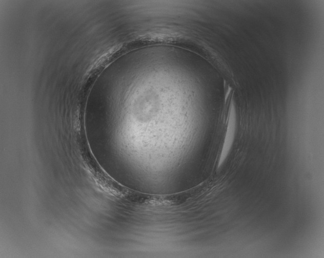 X0000076300403200610201552