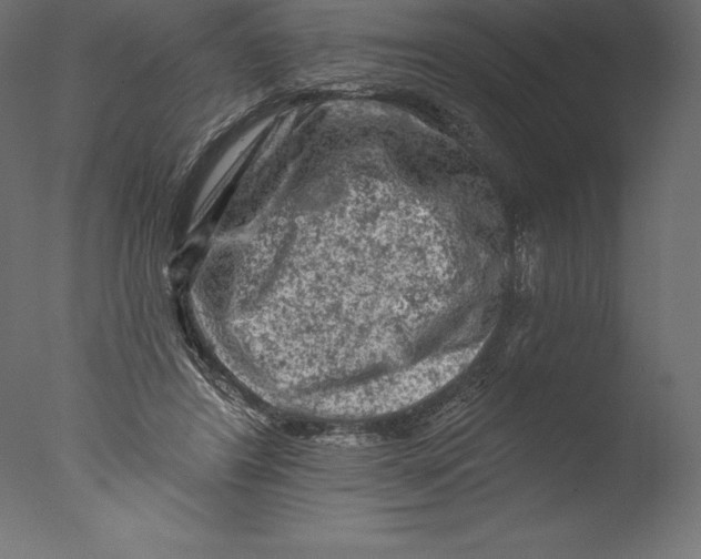 X0000076300404200610201552