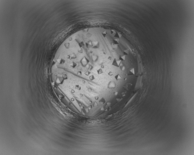 X0000076300405200610201552