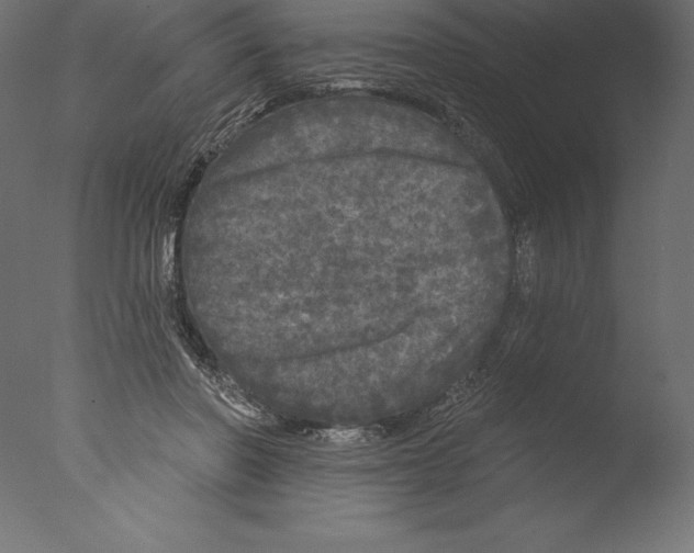 X0000076300406200610201552