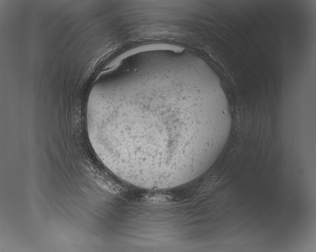 X0000076300407200610201552