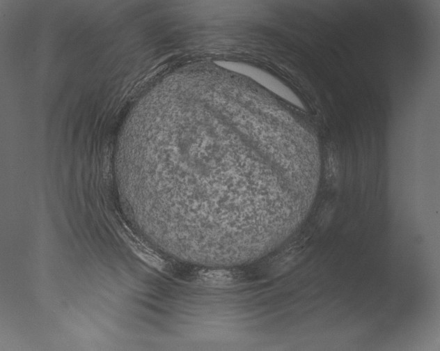 X0000076300409200610201552