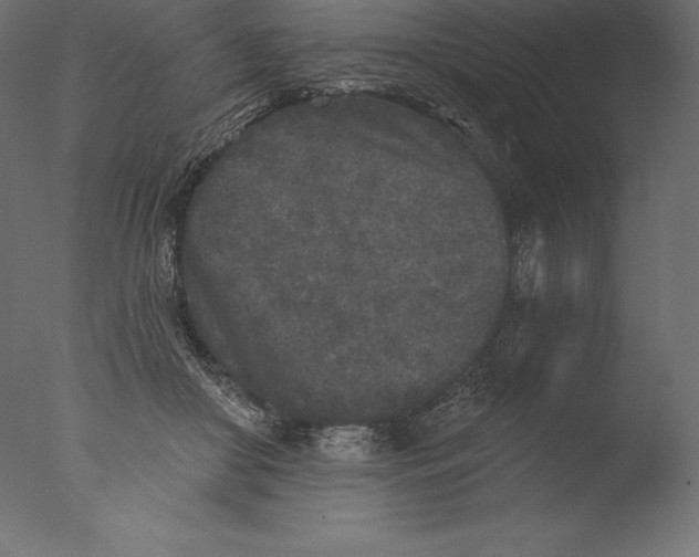 X0000076300410200610201552